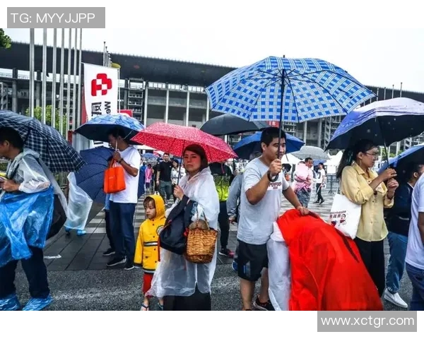 上海排球队耐力问题引发热议球迷与专家各执己见