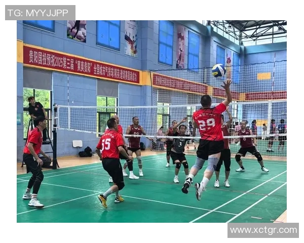 北京排球队的速度之美与技术探讨:排球运动的魅力与挑战