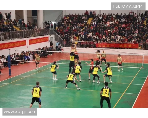 南京排球队的节奏与魅力探秘:一场激情四溢的排球盛宴 南京排球队的节奏与魅力探秘:一场激情四溢的排球盛宴