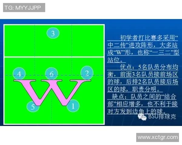 成都乒乓球队快攻打法深度解析与战术优势探讨