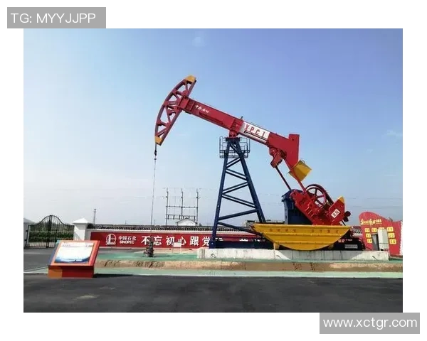 武汉乒乓球队逆袭之旅揭秘世界锦标赛背后的奋斗与荣耀