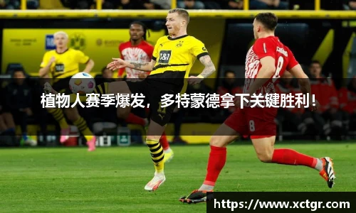 raybet电竞官网