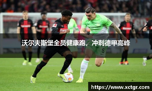 雷竞技raybet官方平台